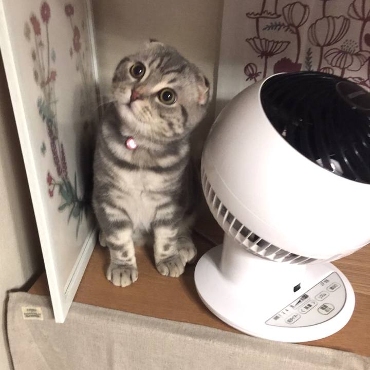 4ba00f57 dc0d 43b3 98fc a07ab11adab0 1591464900130