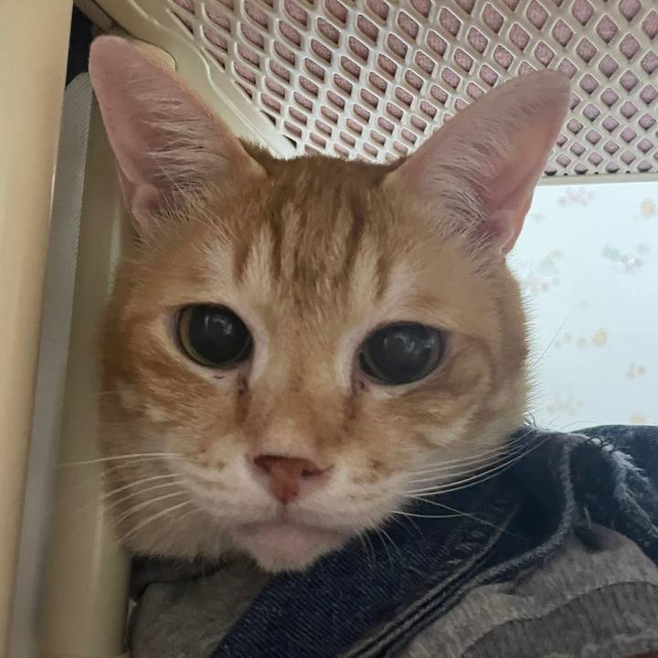 4ba017a2 819d 474e b0d1 29875df1a8bb 1646127049815