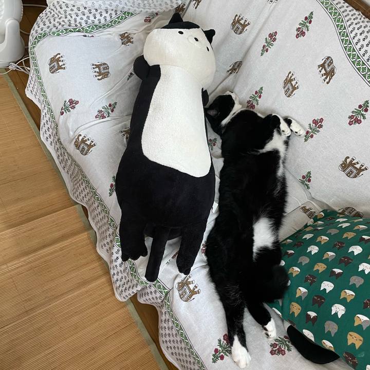 4ba0ac3f 3dff 47bb a4cb b9d1c57242c1 1661920341999