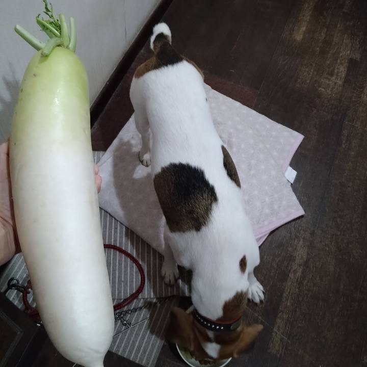 4ba0c221 d872 4141 b02f f01c7caa9848 1632994537235