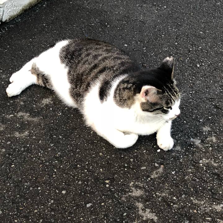 4ba0de44 9967 4584 a9e4 7f6047a523ca 1530446147704