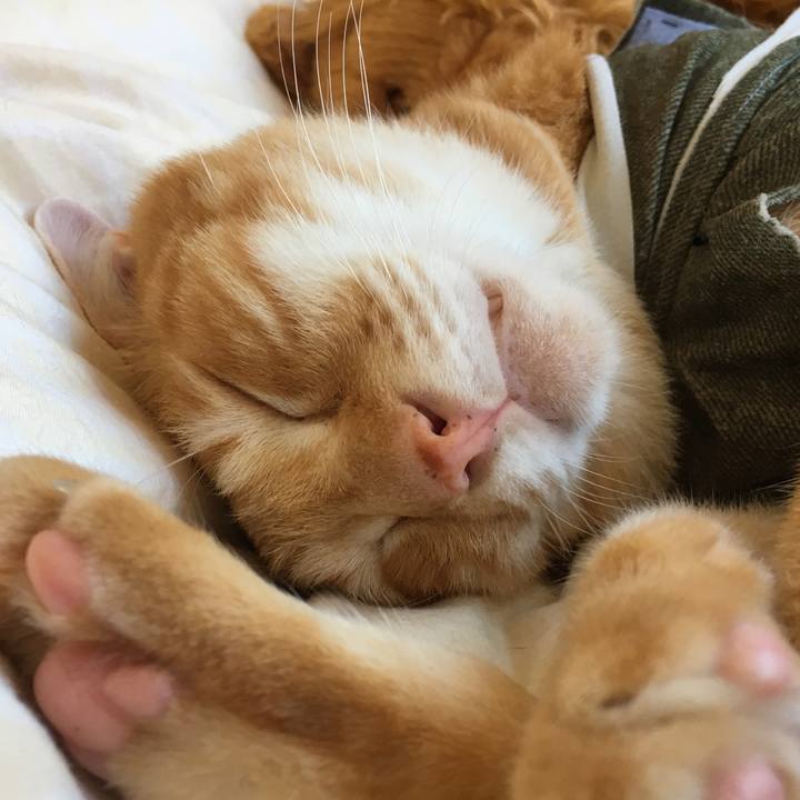 4ba0f060 d128 4042 8be4 e2d8583794ca 1534571835816