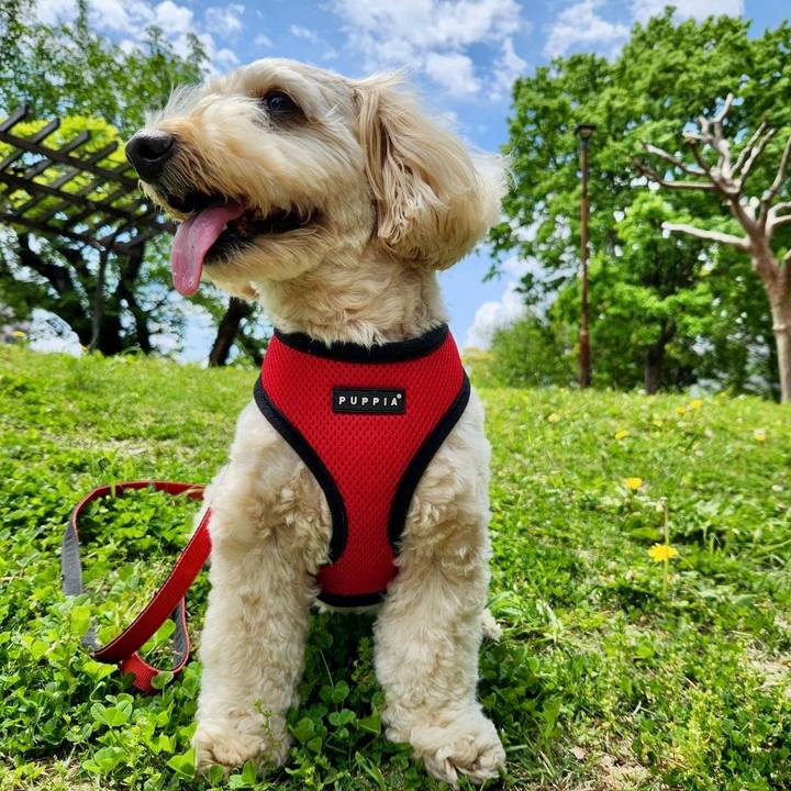 4ba10927 1f9a 46c4 b0a7 3171318d4611 1776739210087