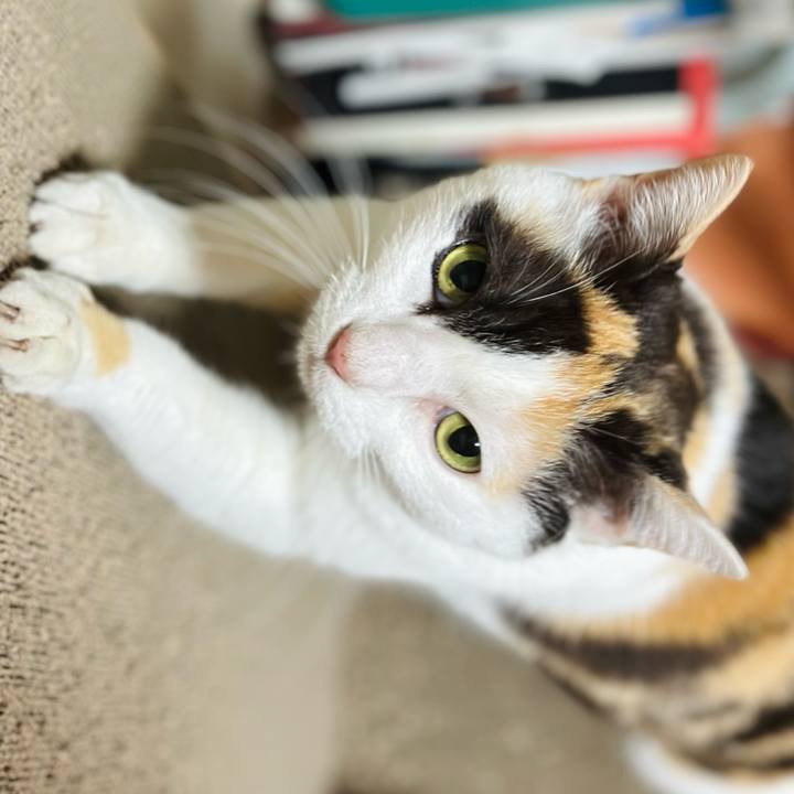 4ba13ad8 406c 44e6 b881 f7c91ce3c475 1712884867576