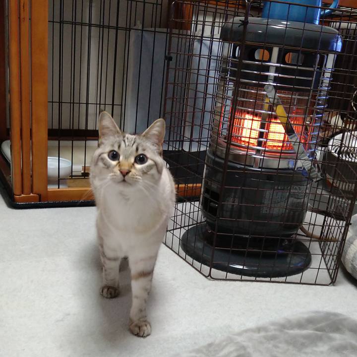 4ba15f77 f144 4a26 82f3 0a1d3dd8ad9c 1641469028381