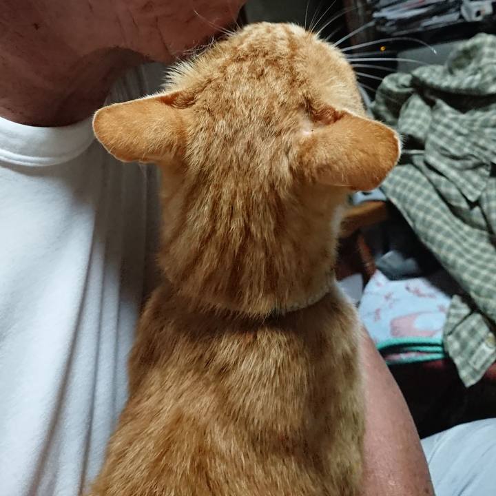 4ba18341 8925 46ca b79c b8f14cdbc511 1593976598567