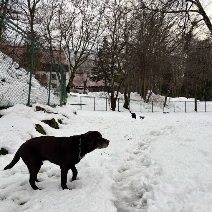 4ba18544 bef7 4b9c b603 3afb16137405 1766315496163