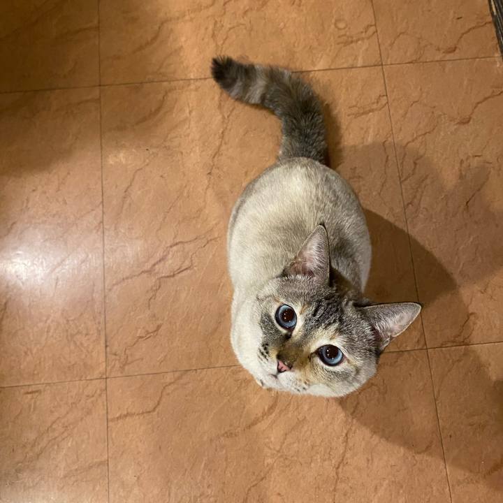 4ba19ea9 6593 4634 b71d 1f911fe7ddbf 1739440548729