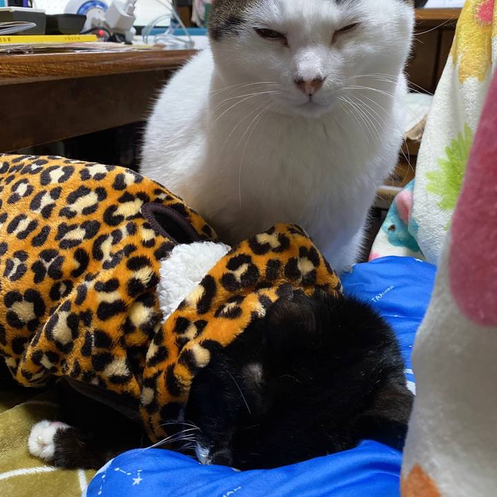 4ba1ad76 b300 44b6 aac6 a36542185ab1 1642768348536