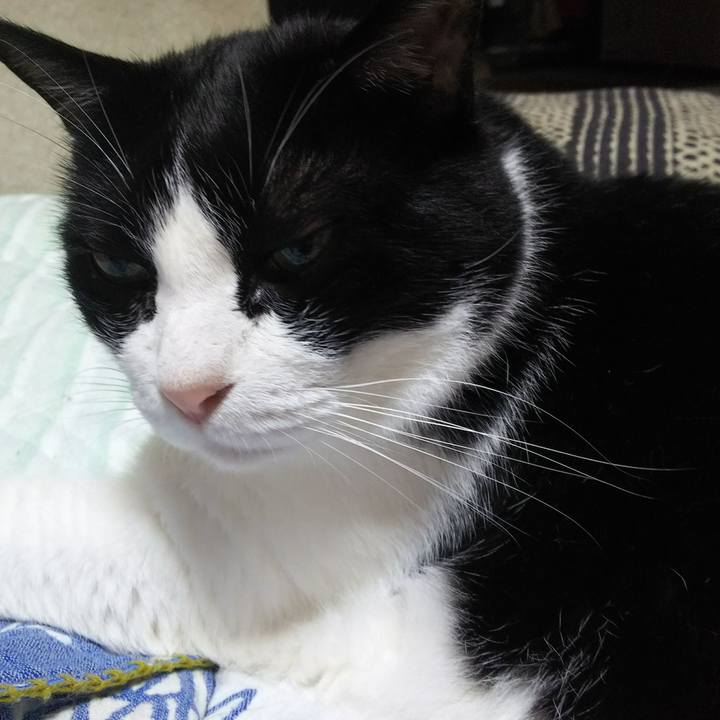 4ba1b432 03d4 48b6 94cb 27f3a0584df5 1535919664362