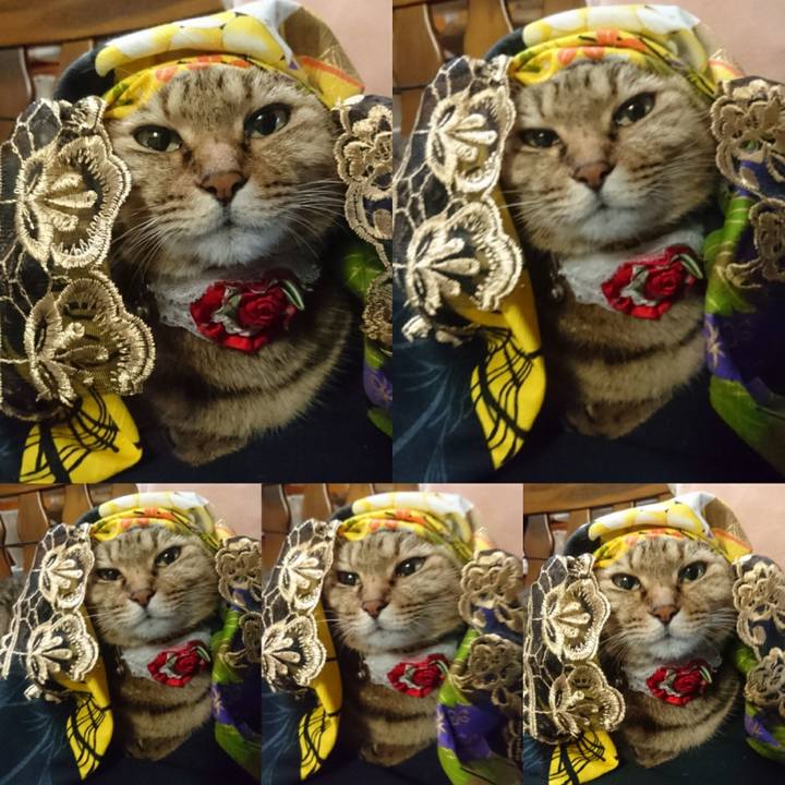 4ba1ca8a f34b 4767 bf11 21a7b2fbf619 1762123225378