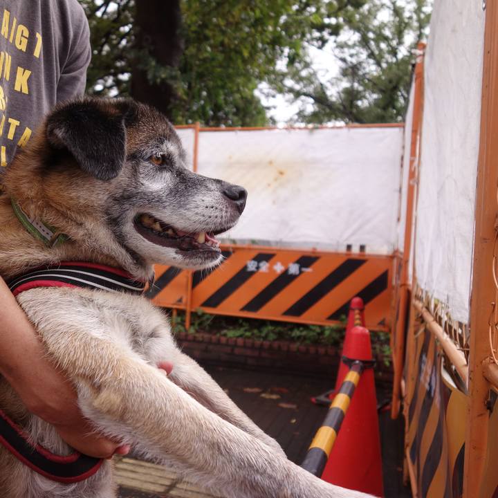 4ba1d9dc d326 4a98 afa1 9317498c9a4c 1569200987488