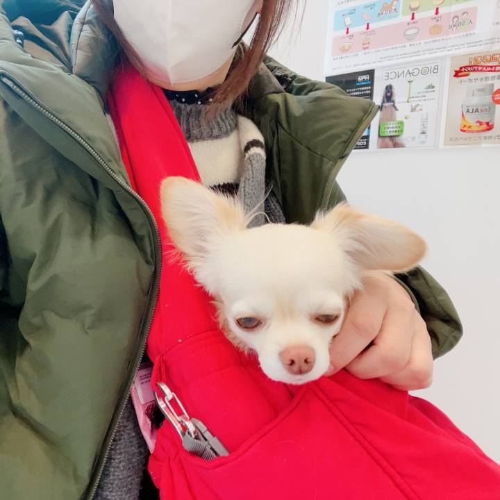 4ba2527c e771 485c 92e8 804c99005a98 1706845650015