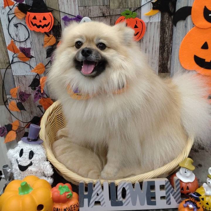 4ba2c959 8ea1 452a bf07 8b5f0f95545d 1667128406145