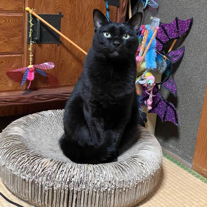 4ba2caa2 440c 43d7 b64a 8c8339a6ab54 1765114208804