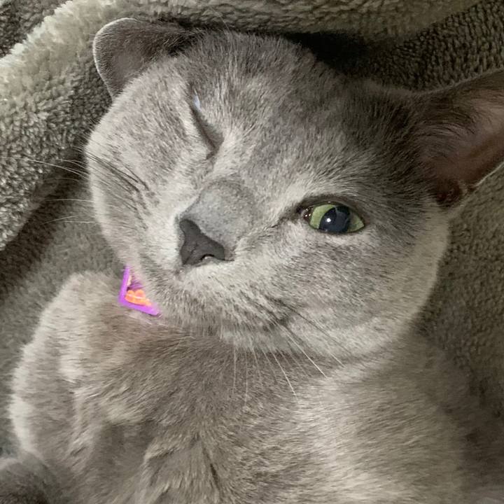 4ba31ac6 eb39 40ee 902d 370ba2669264 1614930161081