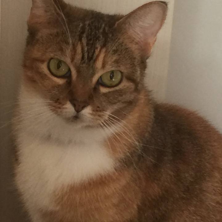 4ba33d74 971a 45be 9f67 7cee72bf00cd 1573779489783