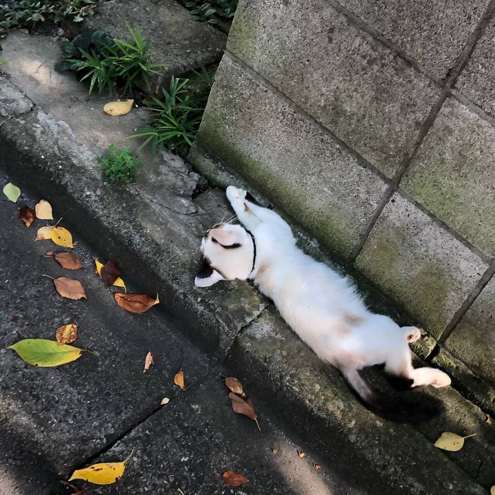 4ba36fd8 816b 42a7 ac35 150a16f96907 1599978107693