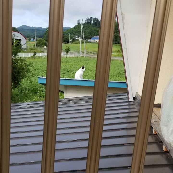 4ba3a9c6 e1ac 439b 8128 e0c4a630402c 1564921280861