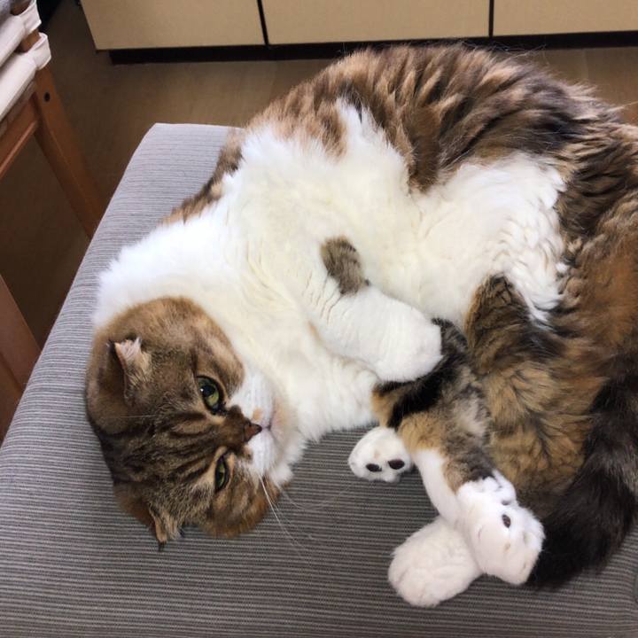 4ba3ad04 e945 49b0 9d25 8f9d66d8c998 1537240837390