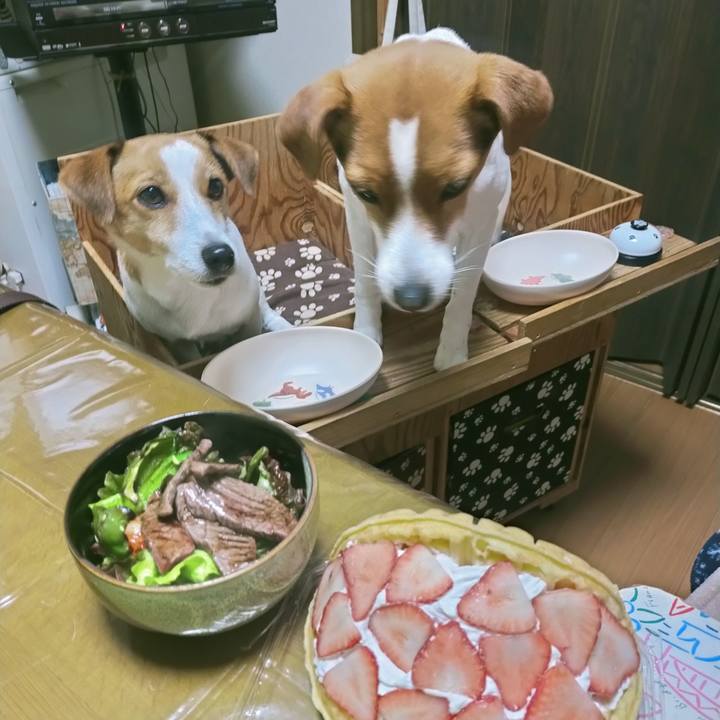 4ba3b06c a1d4 4459 9ee3 7045a1794911 1770982279112