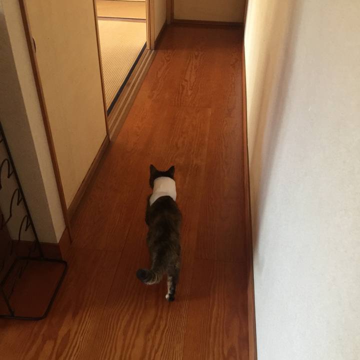 4ba3d378 513e 48ba 8c7b efcf55d973b9 1662250447749