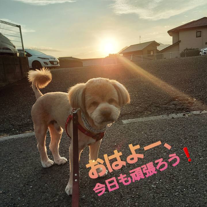 4ba45e8b df83 411d b7ed 38e0c882667d 1631224655807