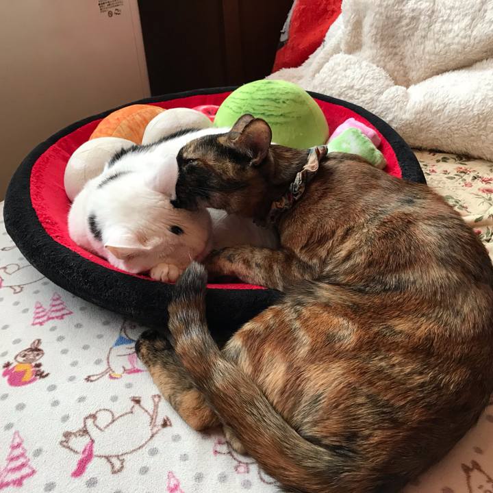 4ba46b94 1db0 4066 ab8f 93c6c49c8288 1645946619534