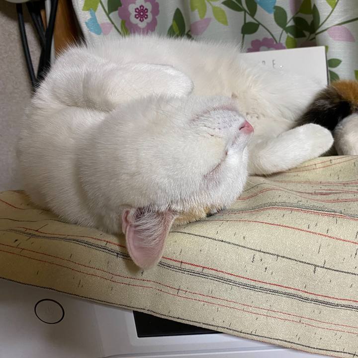 4ba4993c 671e 449c b01b e283ffc56fba 1619827718700