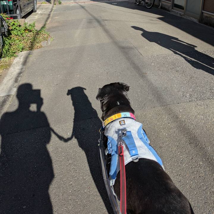 4ba49ab7 6eea 4f6d 9d38 1774298b30fa 1750551902100