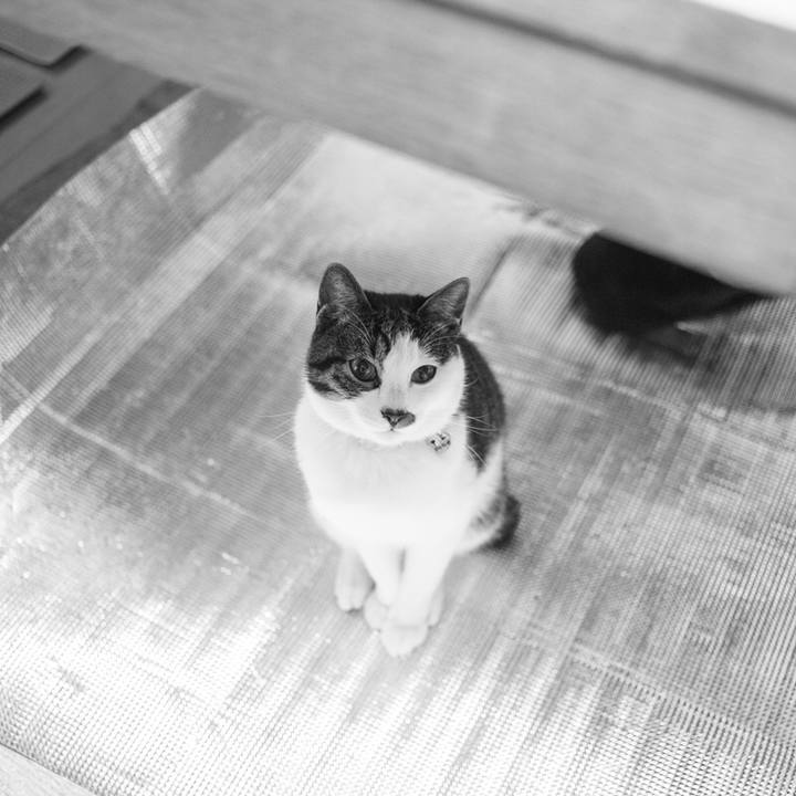 4ba50797 edf7 4eca 8aad bb6332b767e4 1511700052130