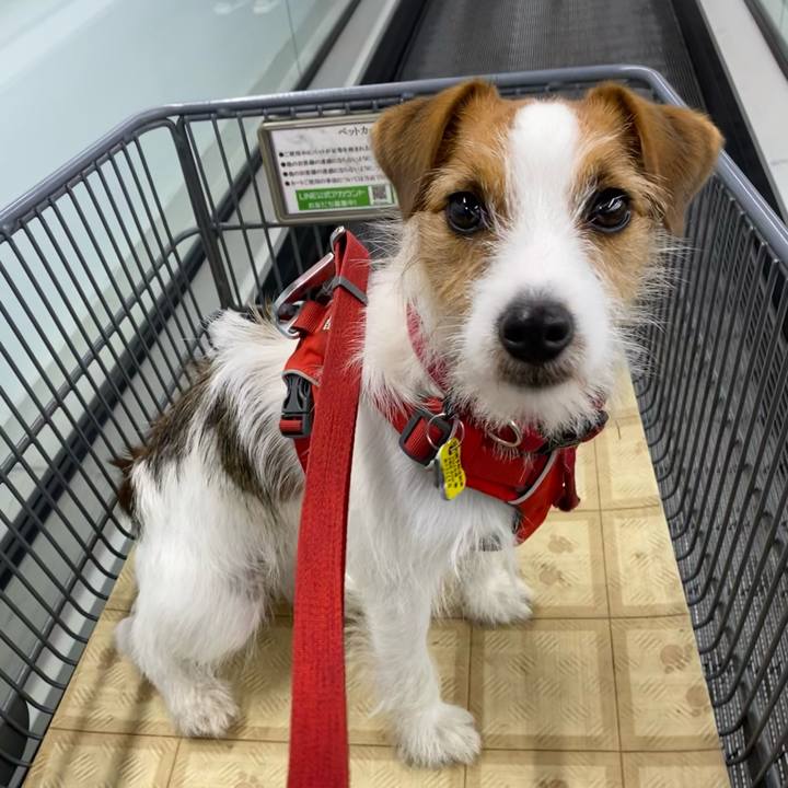 4ba55e13 b2b0 4b87 9b06 6f7a2530d395 1654388383911