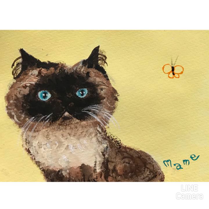 4ba564b9 a8b5 4cce 929f aa52e69608d6 1626927740943