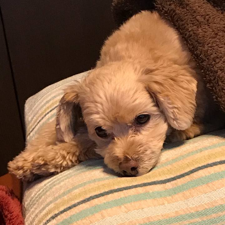 4ba59a3b 957a 4048 9ea4 e20740b94b93 1516690561898