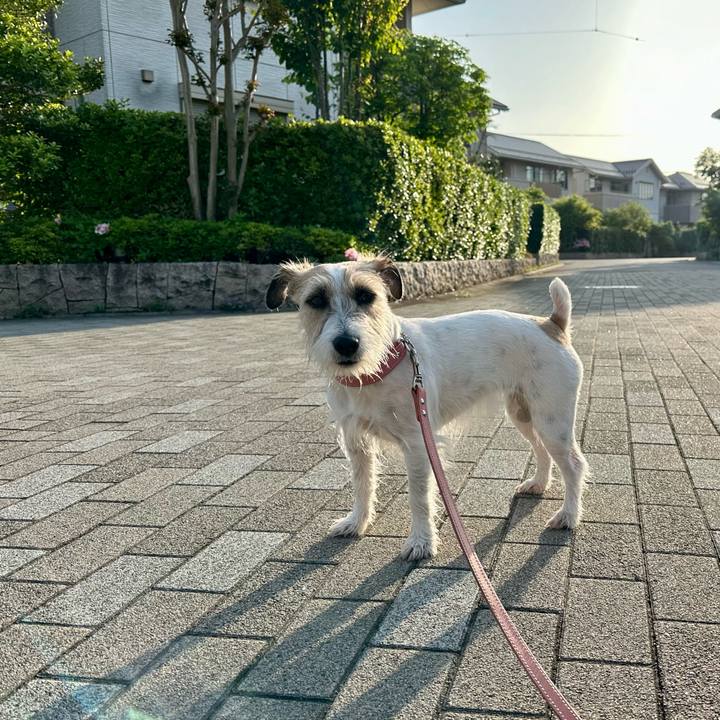 4ba5a6ab c75b 4769 a899 205461ee39ca 1714283521174