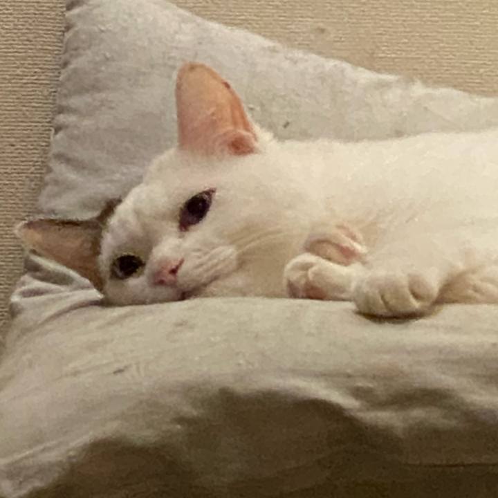 4ba5c477 5da7 4d38 bef4 602bec3b0a43 1726204974927