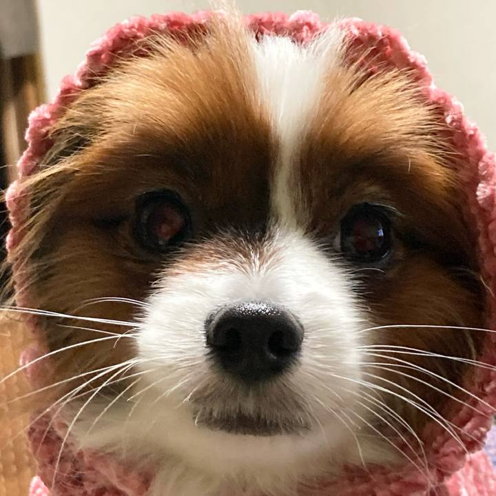 4ba60f1d c832 4d95 aa6f 2eb12f88dd14 1642237938148