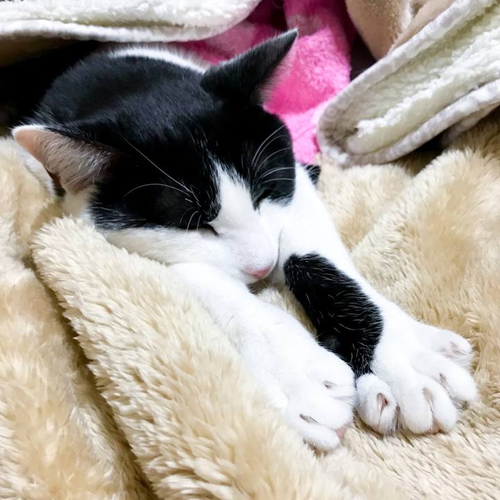 4ba6419f 949b 4ec0 bc31 b7004c20b472 1513177613321