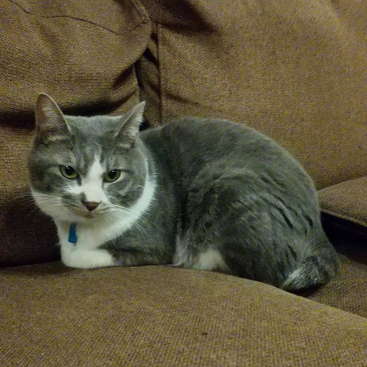 4ba65e47 e218 47d3 9155 7a030b30a050 1608905810865