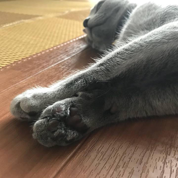 4ba679b4 affc 4371 869d 0b2cabd625a7 1519513670946