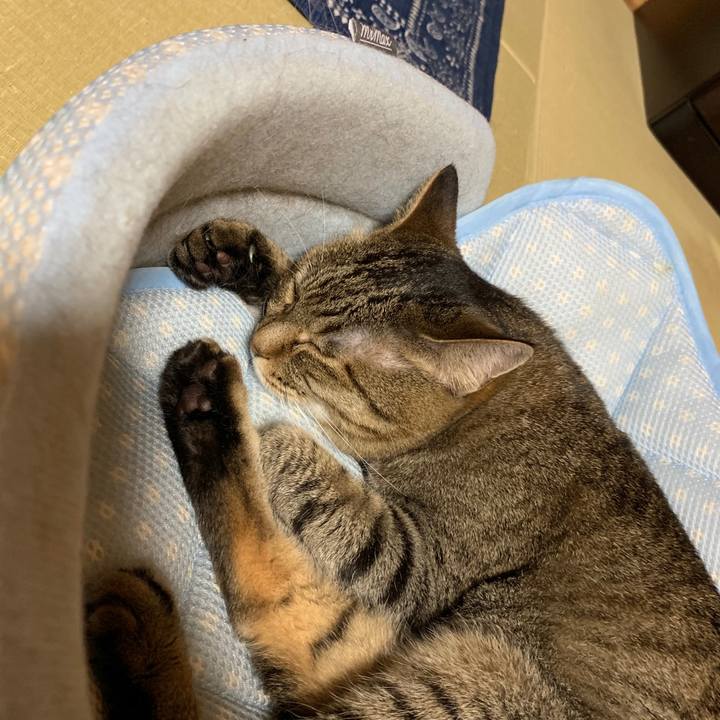 4ba67de0 7f27 40dd 9aa1 462cf7b08845 1563547379084