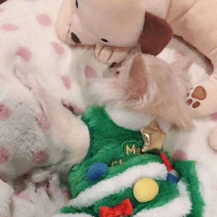 4ba689c1 ec6b 4aeb a48f b75c84264ec6 1514069365585