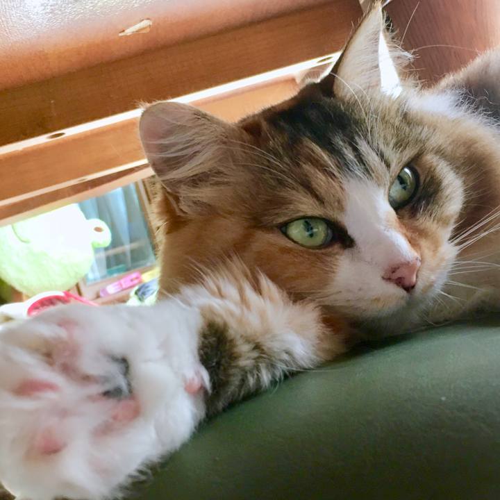 4ba6bdf8 1c86 4937 b10e 42bc43b344d3 1564903195965