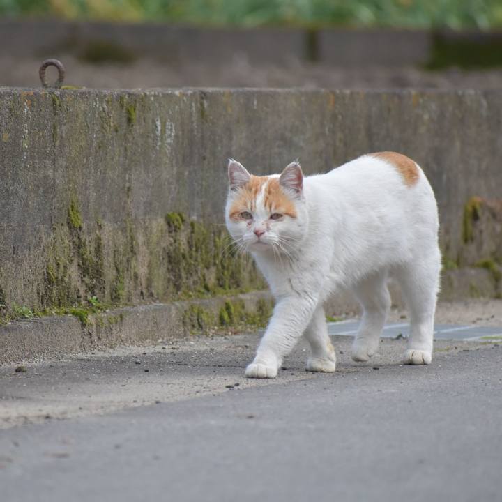 4ba6ed95 7408 437f a7df 5f44706125c2 1550376528006