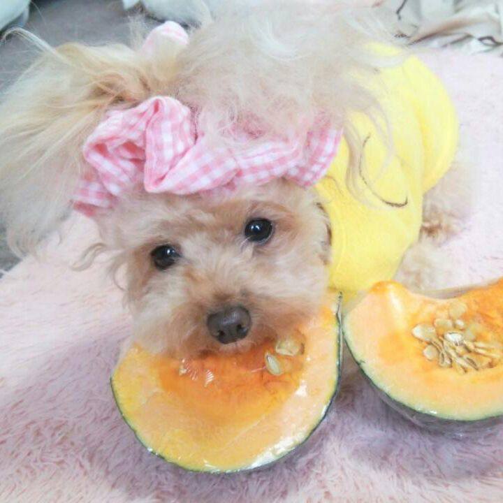 4ba70015 7c6a 45ec a79e 030182223479 1545454501299