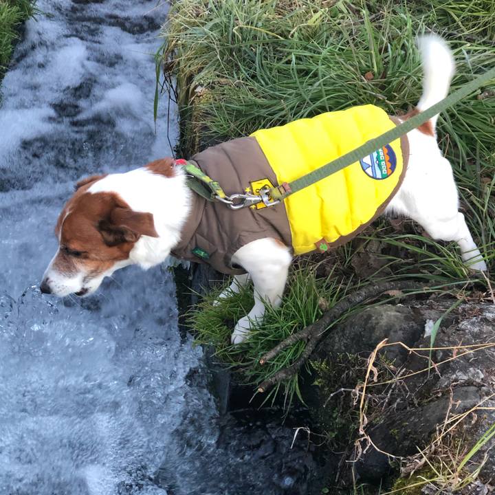 4ba72640 c129 4ca8 8d31 5f45a61af551 1580197601973