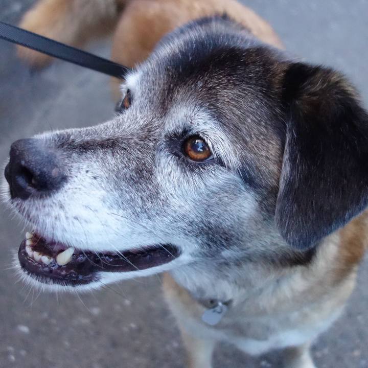 4ba72ac7 eecb 47ae 9c02 07d8ca92e442 1560681548969