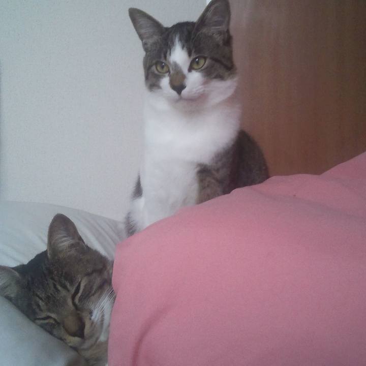 4ba75650 a55f 4bc8 859d 1aac1d616337 1602417758026