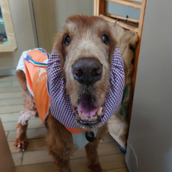 4ba79908 e892 4ed4 aa25 9e5fc5844de3 1717665915047