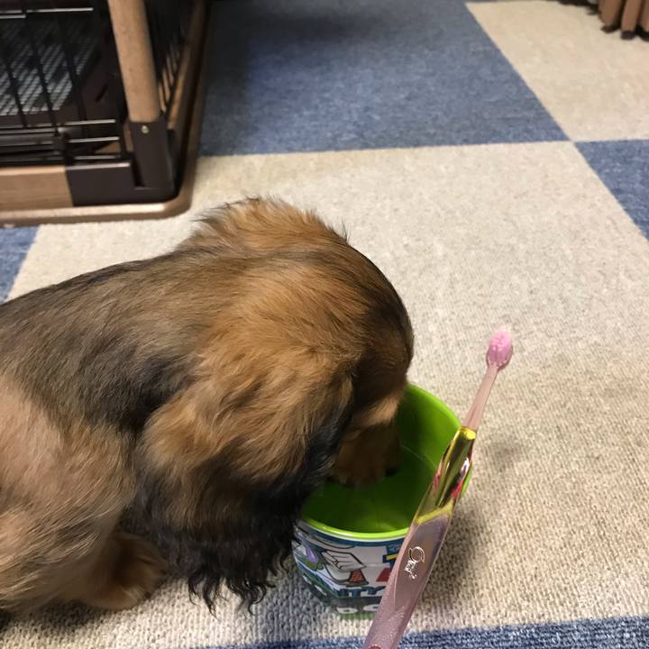 4ba7b46a e16c 473d 9275 d0114fb2ea10 1611752149306